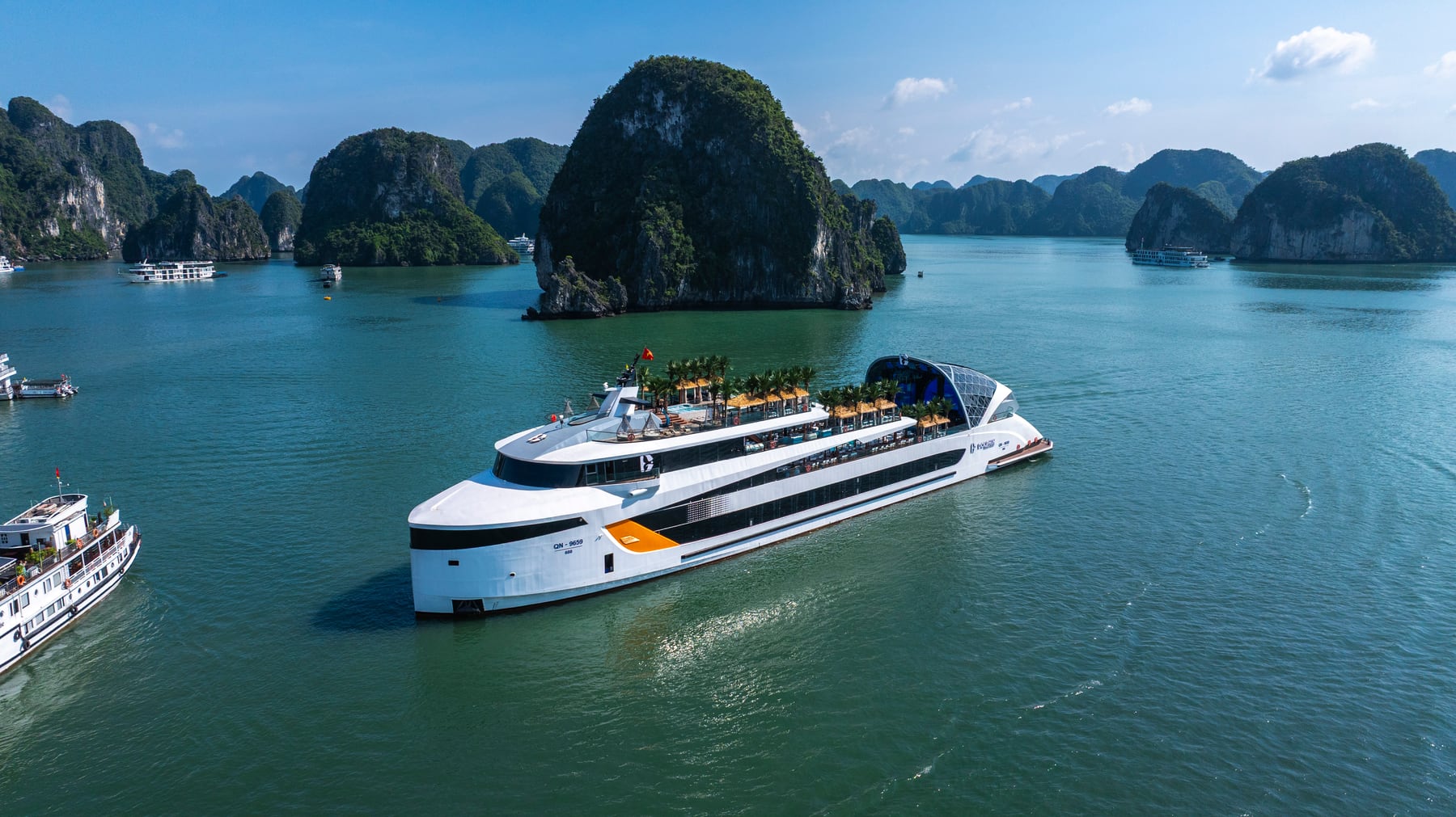 Dolphin Halong Cruise in Halong Bay