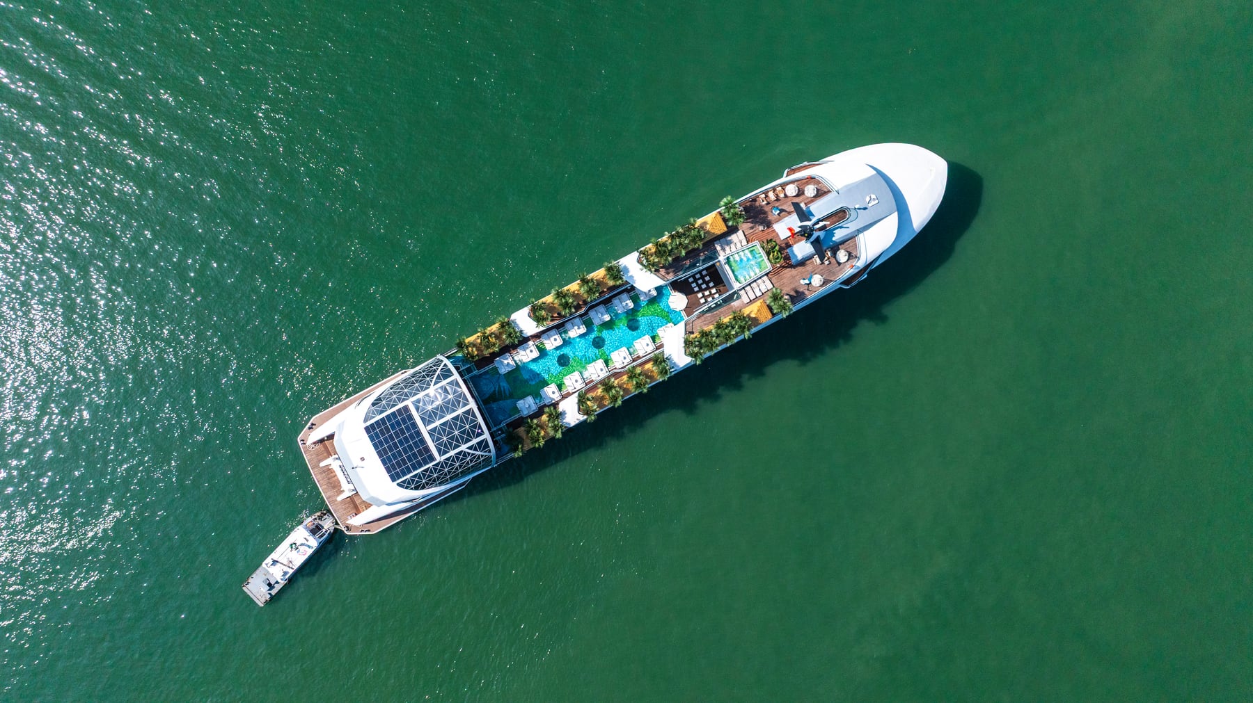Dolphin Halong Cruise in Halong Bay, photo 5 of 17
